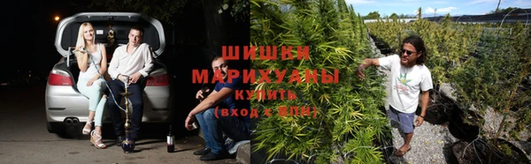 MESCALINE Аркадак