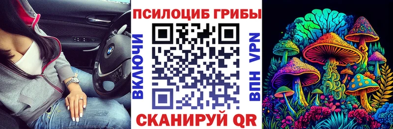 Псилоцибиновые грибы прущие грибы Плавск
